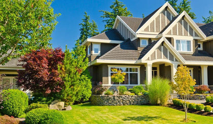 DISTANT HOUSE & BUILDING CLEARING