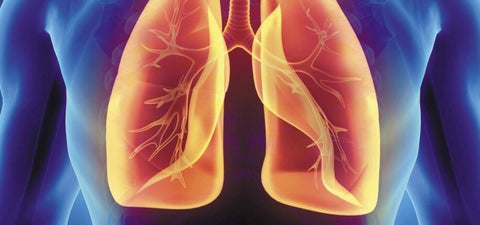 Lung Care - Simple & Effective Healing for Lung Conditions #41