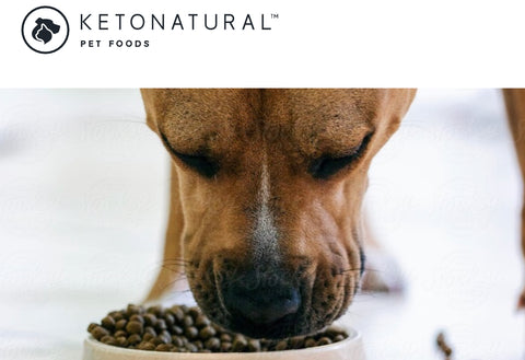 KETO NATURAL DIET FOR DOGS - Don't Forget our Furry Friend’s Health