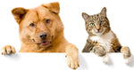 DOG & CAT HEALTH 🇺🇸- Don't Forget our Furry Friends - CBD Products