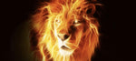 LION REIKI - Courage, Strength & Protection #97