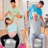 SpoxFit Exercise Ball Chair with Resistance Bands, Perfect for Office, Yoga, Balance, Fitness, Super Strong Holds 660lbs. Set Includes Stable Base, Workout Poster, Pump, Home Gym Bundle-65cm Silver