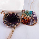 Bivei Chakra Tree of Life Necklace Natural Gemstone Copper Wire Wrap Healing Crystal Pendant for Women(Amethyst)