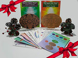 Sacred Geometry Gifts ~ Powerforms 2.A ~ Neutral Space + Super Cell + Energy Healing Cards (Save $21.17)