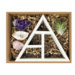 Tillandsia Air Plant and Purple Amethyst Crystal Healing Cluster/Terrarium Fairy Garden Stone + Kraft Gift Box