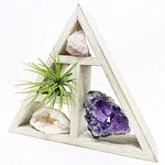 Tillandsia Air Plant and Purple Amethyst Crystal Healing Cluster/Terrarium Fairy Garden Stone + Kraft Gift Box
