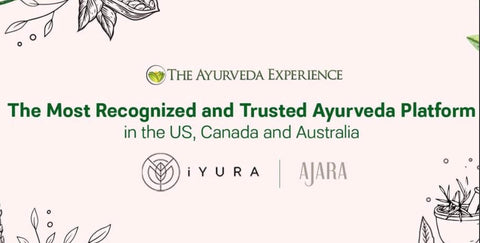THE AYURVEDA EXPERIENCE - Ayurvedic Skin Products
